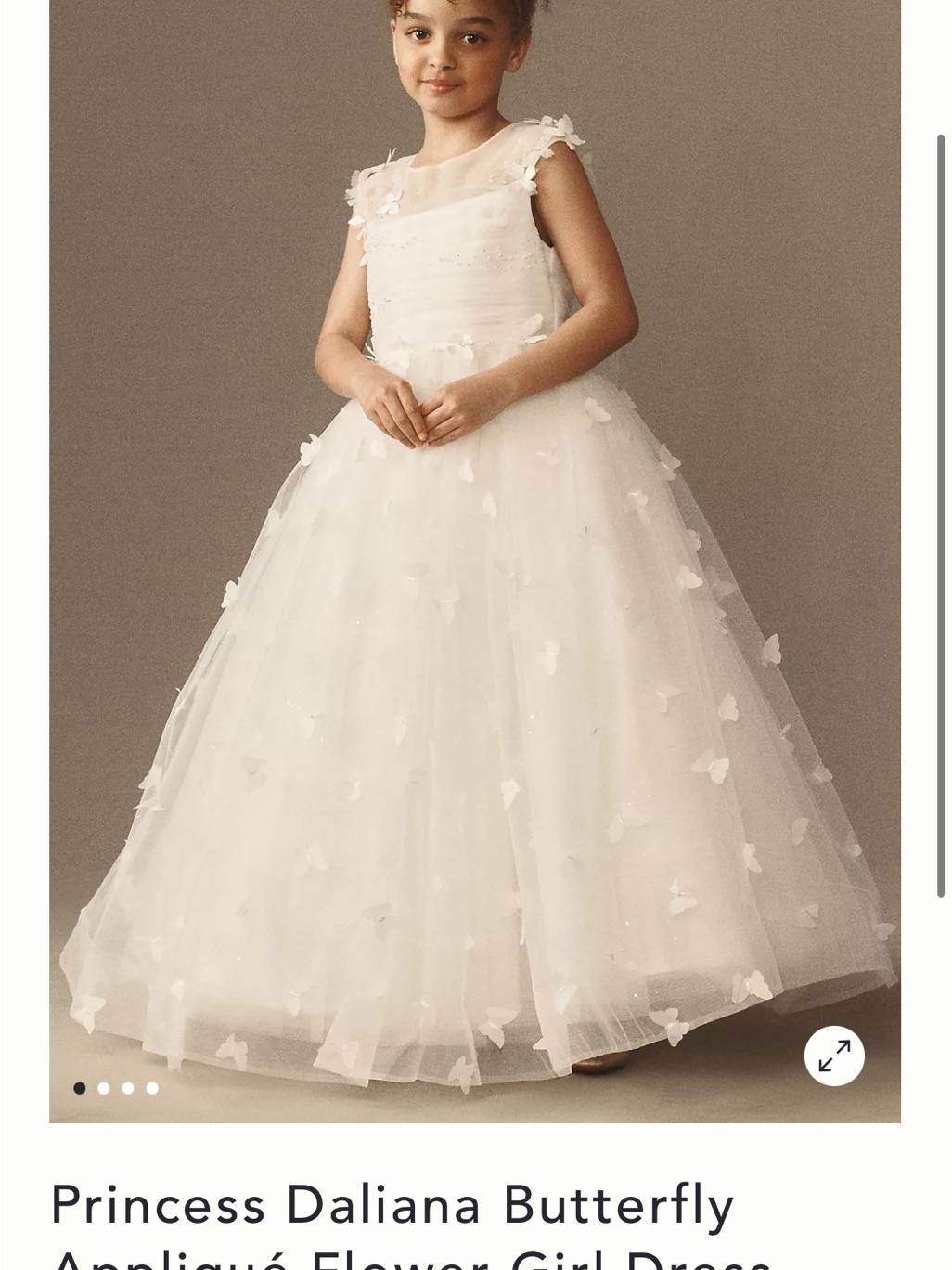 Princess Daliana Butterfly Appliqu Flower Girl Dress - Ivory